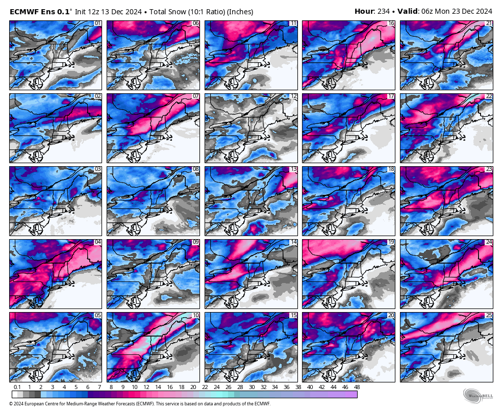 ECMWF Ensembles show highly variable snowfall through Sunday related to multiple potential solutions.