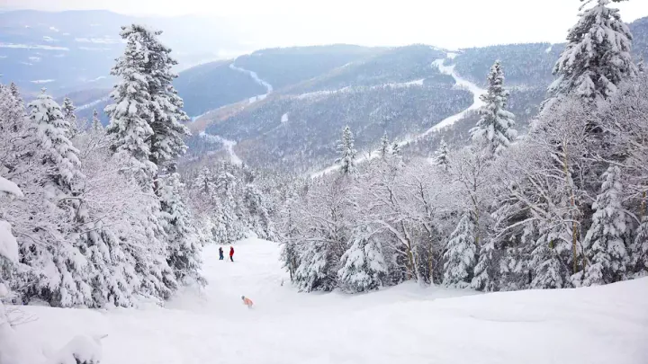 Sugarbush reported 21" of snow since Monday, but the powder party is unfortunately over.  📷 Sugarbush 