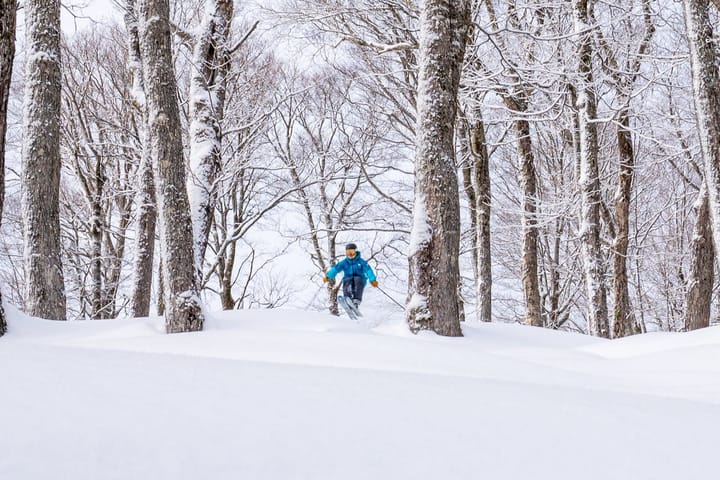 Stratton picked up 6" from the Blizzard providing a prefect refresh to the already packed powder terrain.  📷 Stratton
