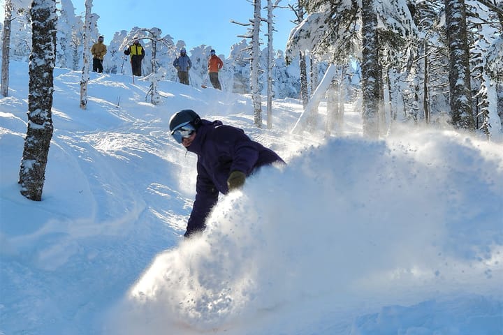 Saddleback may have missed some of the bigger dumps but slow and steady with snow preserving temps have kept the pow going strong.   📷 Saddleback, ME